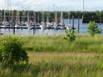 Yachthafen Hasenbüren