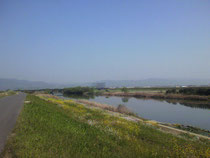 スタジオ近くの気持ちよい河川敷