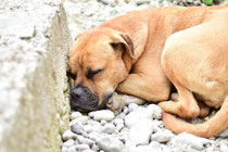 Powernap 