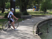 Rollern im Albert Park- Hallo ihr schwarzen Schwäne