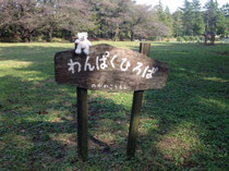 野川公園わんぱく広場♪