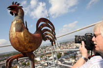 Der "Dom Gockel" auf dem Hauptturm des Mainzer Doms. Foto: Sascha Kopp
