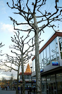 Foto: Helmut Schütz. Domblick vom Schillerplatz