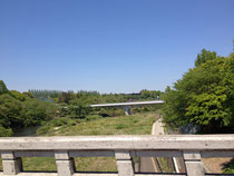 大橋から広瀬川上流の眺望です