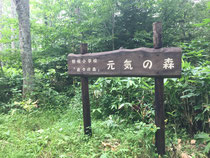 野幌森林公園　元気の森