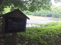 野幌森林公園　原の池