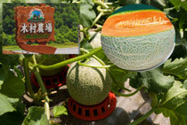 木村農場(富良野市山部)