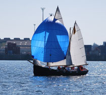 Segelkutter unter Spinnaker