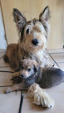 Buffy & Carbon