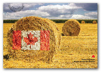 (c) Canada Post