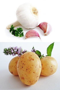 Slambuc, Erdäpfel, Knoblauch