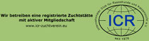 ICR Zuchtverein 