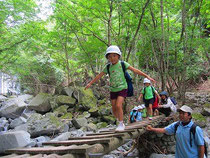 和光鶴川幼稚園　画像