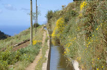 Wanderweg entlang einer Levada
