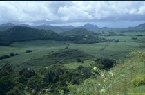 Mauritius - die Zuckerrohrinsel