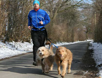 Luna und Kiwi joggen am liebsten bei Temperaturen um null Grad