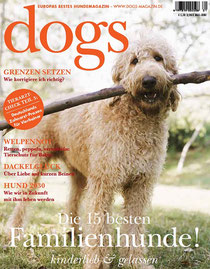 dogs 3/2011