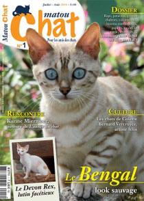 cover of magazine