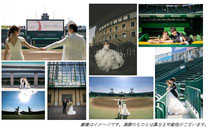 💗🏟️阪神甲子園球場👨👰