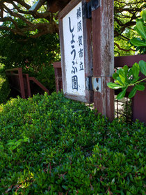 しょうぶ園