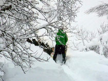 Tiefschnee-Vorbereitung Foto: Furtwängler
