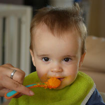 BLW Baby Led Weaning BabyLedWeaning Beikost breifrei Rezept Rezepte