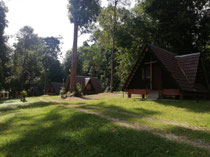 Stay in the jungle in dangau