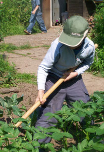 Gartenarbeit