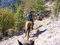 Horsetrip in den Canyon