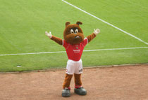 Das Maskottchen des Barnsley FC