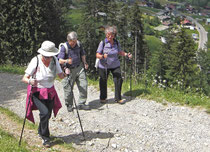 3 Personen beim Nordic-Walking in der Natur