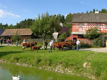 Foto: Opf. Freilandmuseum