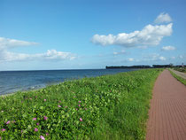 Blick von der Promenade über die Ostsee