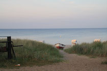 Blick vom Strand auf die Ostsee