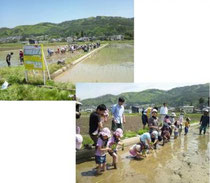 TAUE(松本)