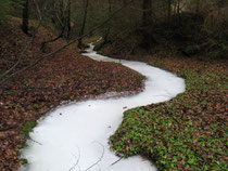 gefrorener Bachlauf