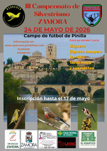 Cartel del III campeonato de silvestrismo de Zamora 
