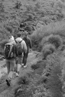 Wandern in den Horten Plains