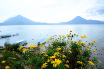 Der "Lago Atitlan" ... ist übrigens selbst ein riesengroßer Krater ....