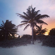 Palmenstrand von Tulum