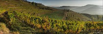 Vignes du vallon de Marcillac