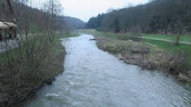 Petite rivière à truite