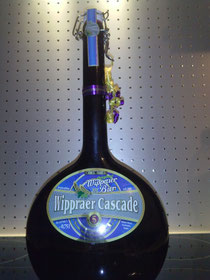 Wippraer Cascade