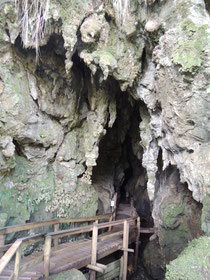 Eingang zur Kawiti Cave