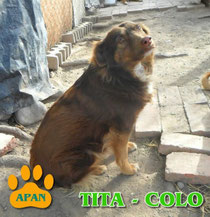 tita en adopcion