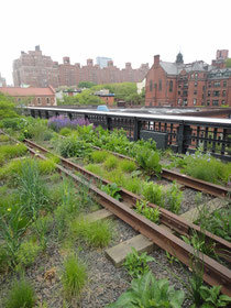 "The High Line"