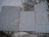 B.Granit-Lasberger-C.Granit