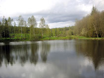 Malerische Landschaften rund um den Ferienhof Hendlmühle