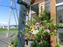 素敵な花です!