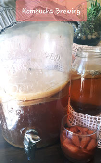 Kombucha Brewing Course